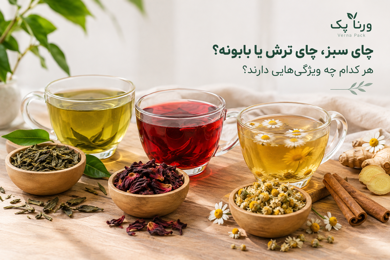 چای سبز، چای ترش یا بابونه؟ هر کدام چه ویژگی‌هایی دارند؟
